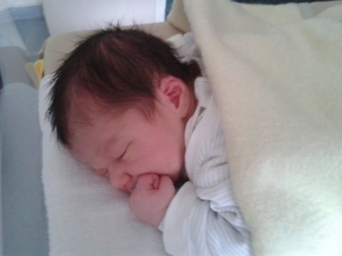 Szécsi Zénó (szécsi zénó)