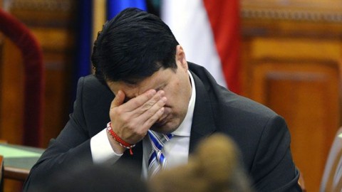 mesterházy face palm (mesterházy attila, )