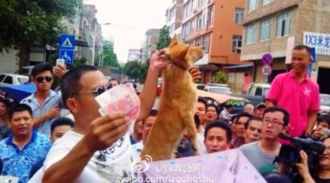 kutyahús (kutyahús)