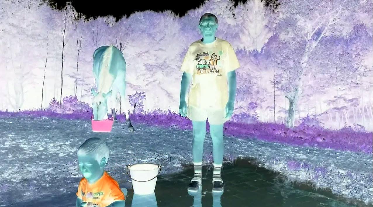 Falus inverz (Falus Ferenc)