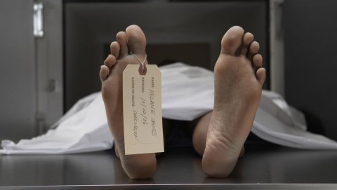 Hulla (hulla, holttest, halott, patológia, )