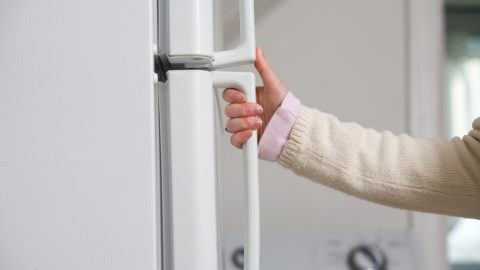 hűtőszekrény (hűtőszekrény, )