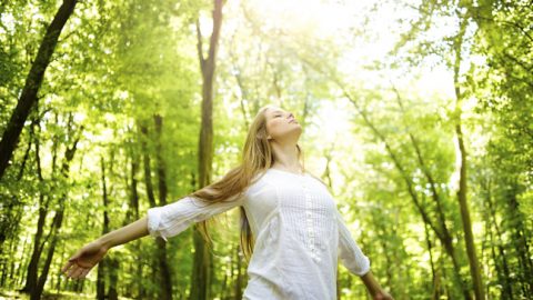 napsütés (Buddhizmus, vallás, hit, spritualitás)