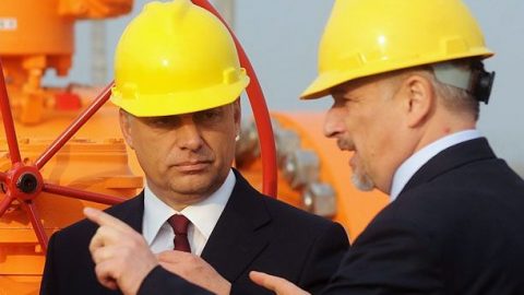 Hernadi-Zsolt(430x286).jpg (Hernádi Zsolt)