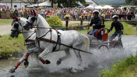 lázár vilmos (fogathajtó, fogathajtás, lázár vilmos, )