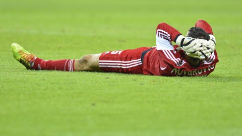 nenad novakovic (nenad novakovic)