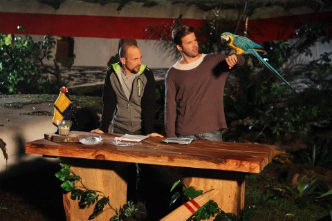 Celeb-vagyok-ments-ki-innen-(960x640).jpg (celeb vagyok ments ki innen, )