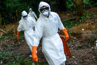 Ebola (ebola)