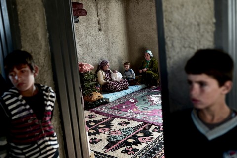 Kobani (Kobani város, Török Szíriai határ, kurd, pesmerga, harc, IS, )