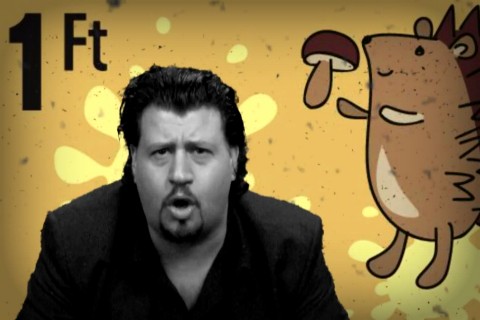 Puzsér netadó (puzsér blog, )