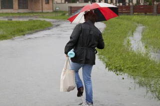 Vihar(430x286).jpg (Vihar)