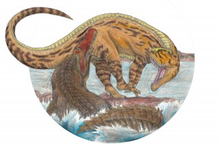 dino harc (dino harc, 200 millió éves harcot rekonstruáltak)