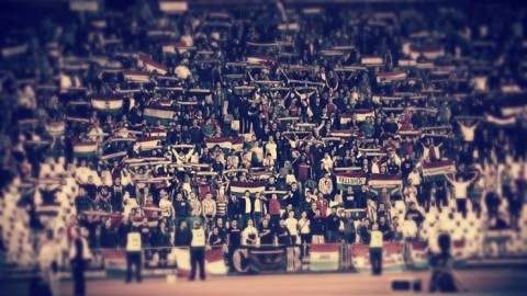 szurkolók (szurkolók, )