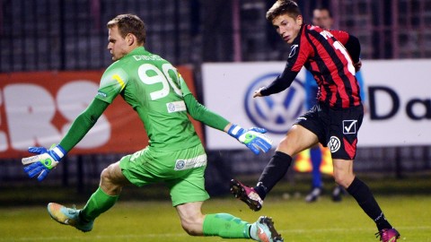 Dibusz Dénes (dibusz dénes, )