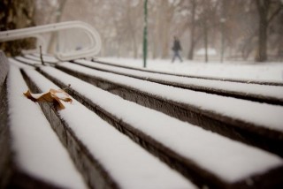 Hóesés Szegeden (hóesés, szeged, )