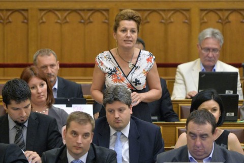 bangóné borbély ildikó (bangóné borbély ildikó)