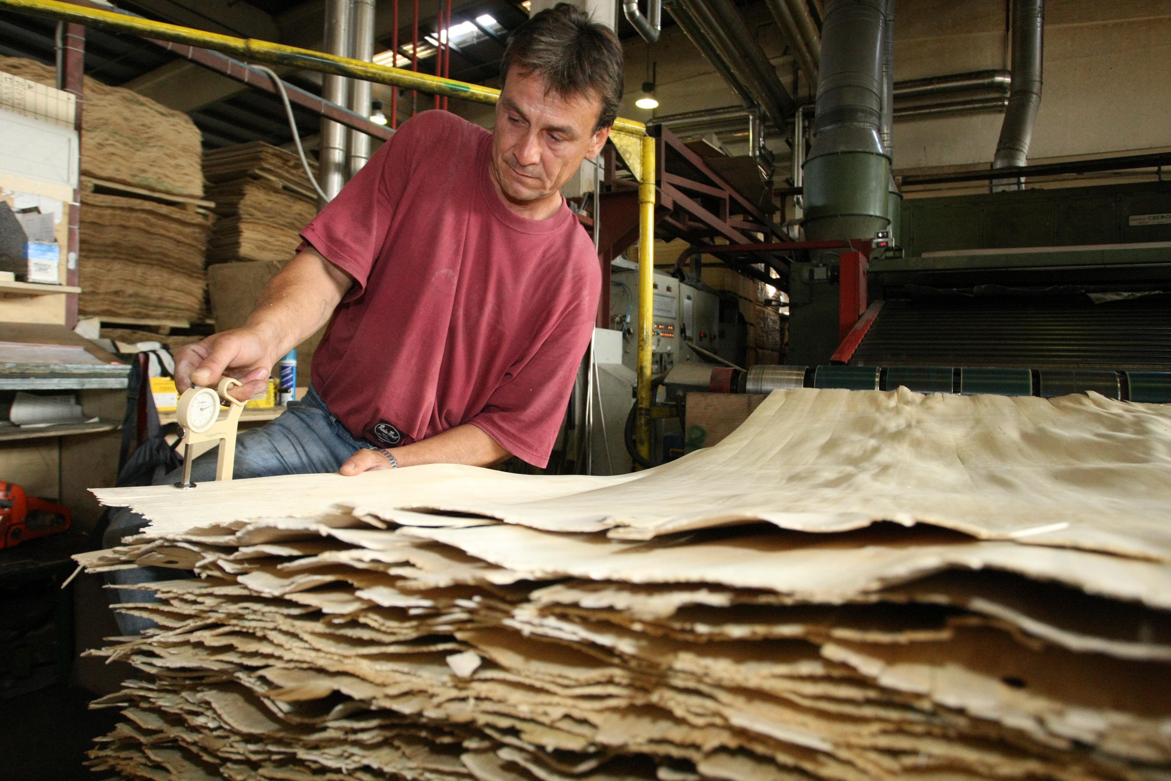 faipar(210x140).jpg (faipar, munkás)