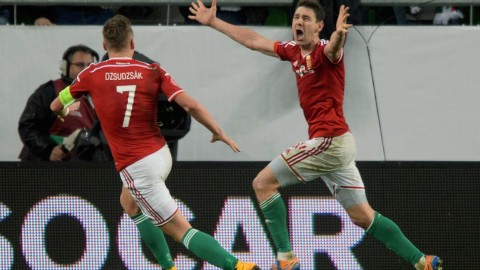 gera zoltán (gera zoltán)