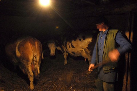 istálló (istálló)