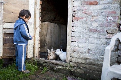 szegény gyermek (szegénység)