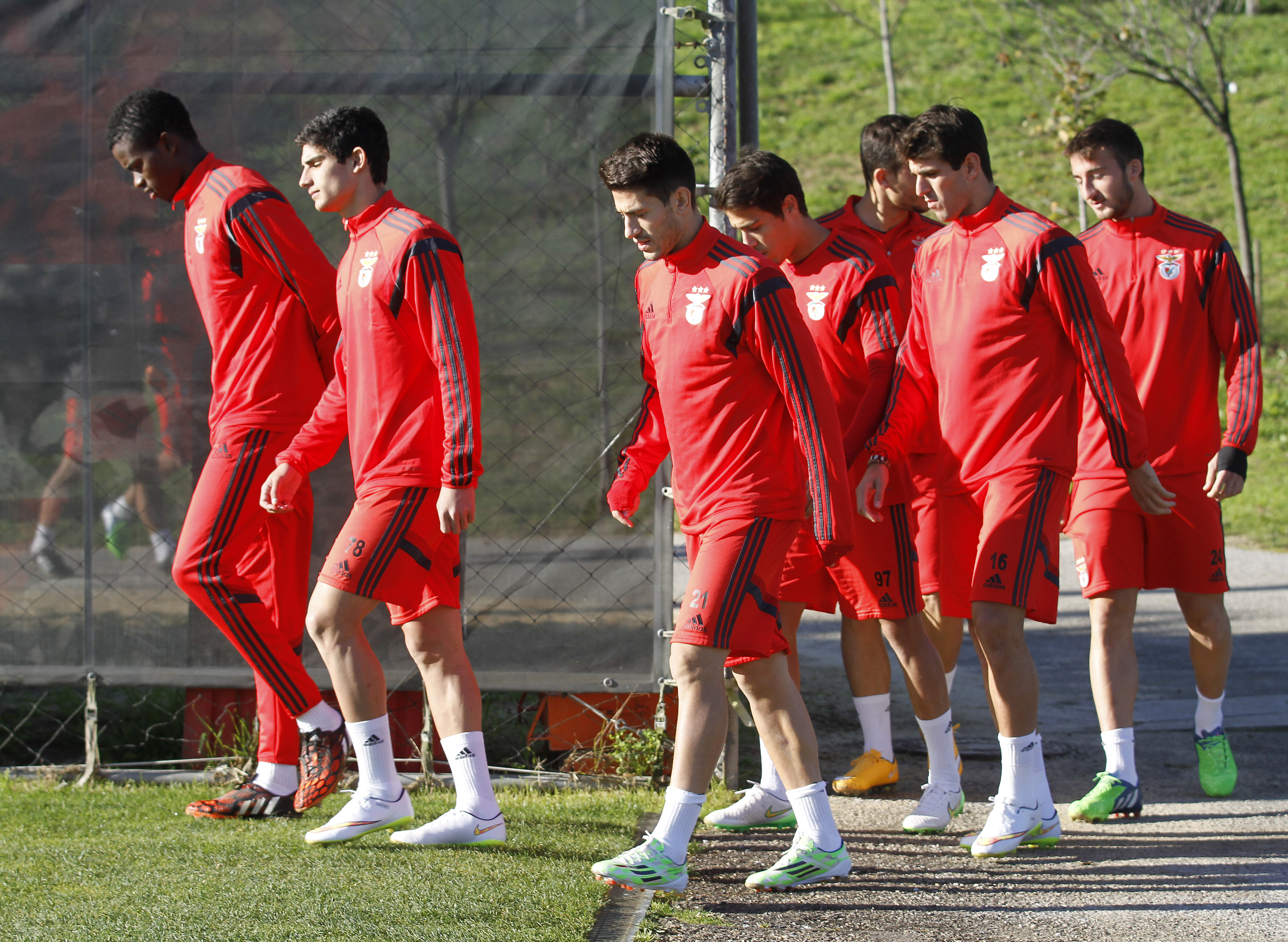 Benfica (benfica, )