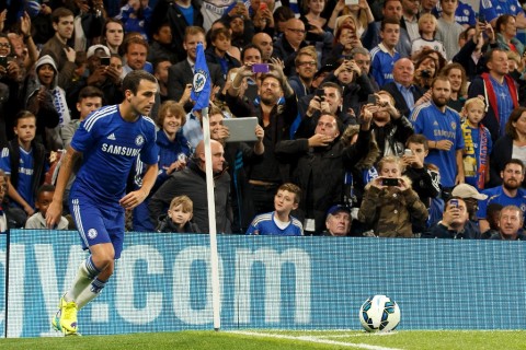 Cesc Fabregas (cesc fabregas, )