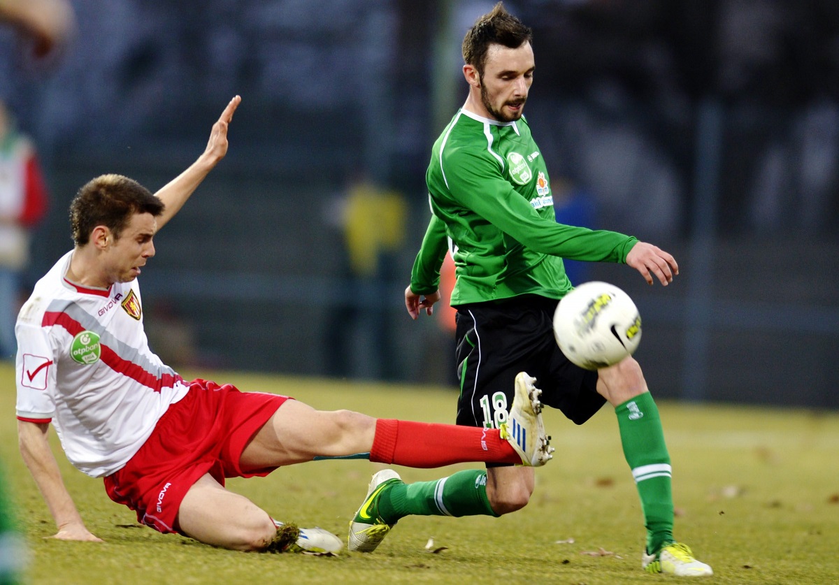 Fiola Attila (fiola attila, )