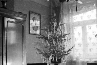 Karácsony 1956 (Karácsony 1956, fenyőünnep, Fortepan )