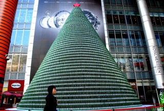 Kínai sörkarácsonyfa (kína, sör, karácsonyfa, )