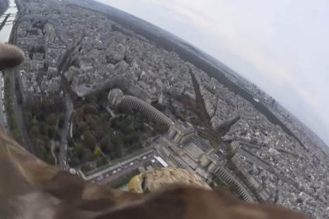 Madárlátta Párizs (Párizs, )