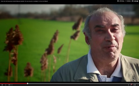 Váradi András juhász (váradi andrás, juhász, alcsútdoboz, együtt, )