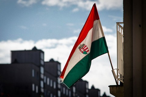 Zaszlo(210x140).jpg (Zászló)