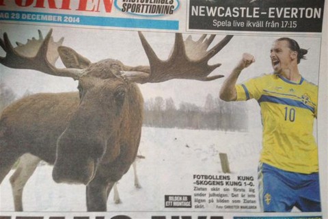 Zlatan-Ibrahimovic(960x640).jpg (zlatan ibrahimovic, )