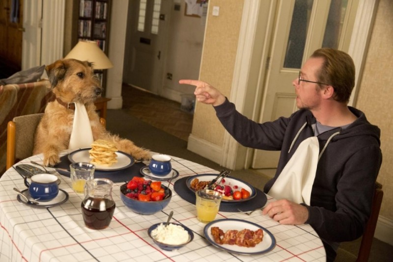 absolutely anything (absolutely anything)