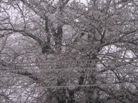 adyliget (adyliget, jegesedés, )