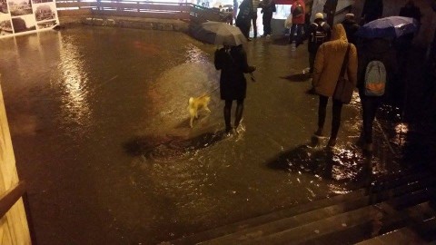 árvíz a nyugatinál (nyugati, árvíz)