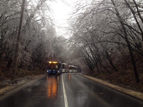 budakeszi úton álló buszok (buszok, kidőlt fa,budakeszi út)