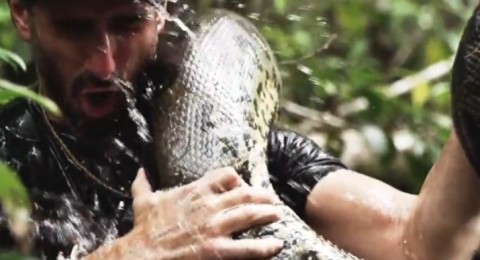 eaten-alive-discovery(210x140).jpg (reality show, )