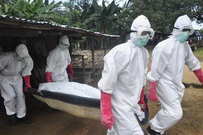 ebola(1)(960x640).jpg (ebola)