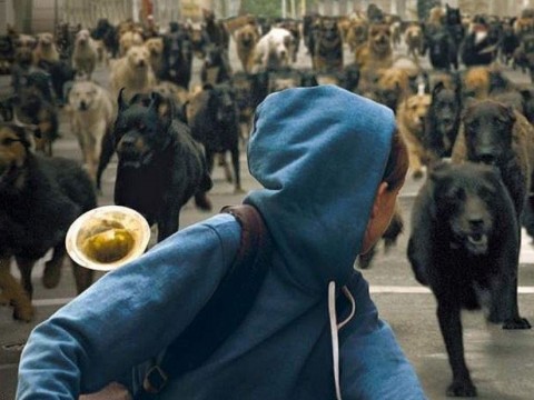 feher-isten-plakat(210x140).jpg (fehér isten, mundruczó kornél, )