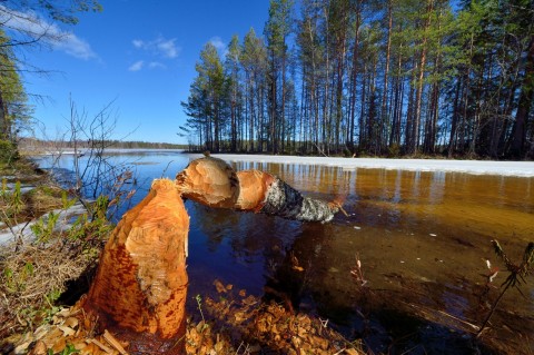 finn táj (finnország, )