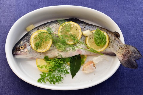 hal  (Piazza Gabriella, gasztro, Hódos Hajni)