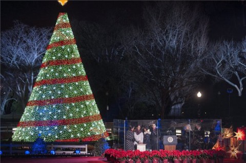 karacsonyfa(210x140).jpg (karácsonyfa)