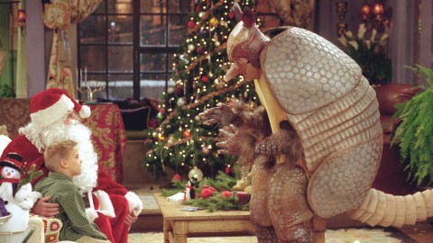 karácsonyi tatu (karácsonyi tatu)