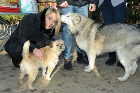 kiss ramóna barátok közt állatotthon (kiss ramóna, noé állatotthon, )