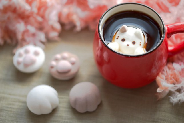 macskás kávé (macska, cukor, kávé, )