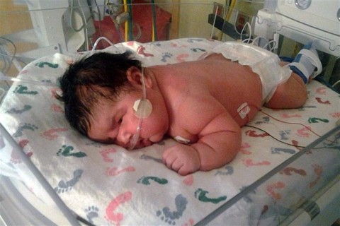 mia(960x640).jpg (kislány, )