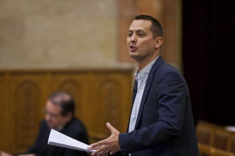 molnár zsolt (molnár zsolt)