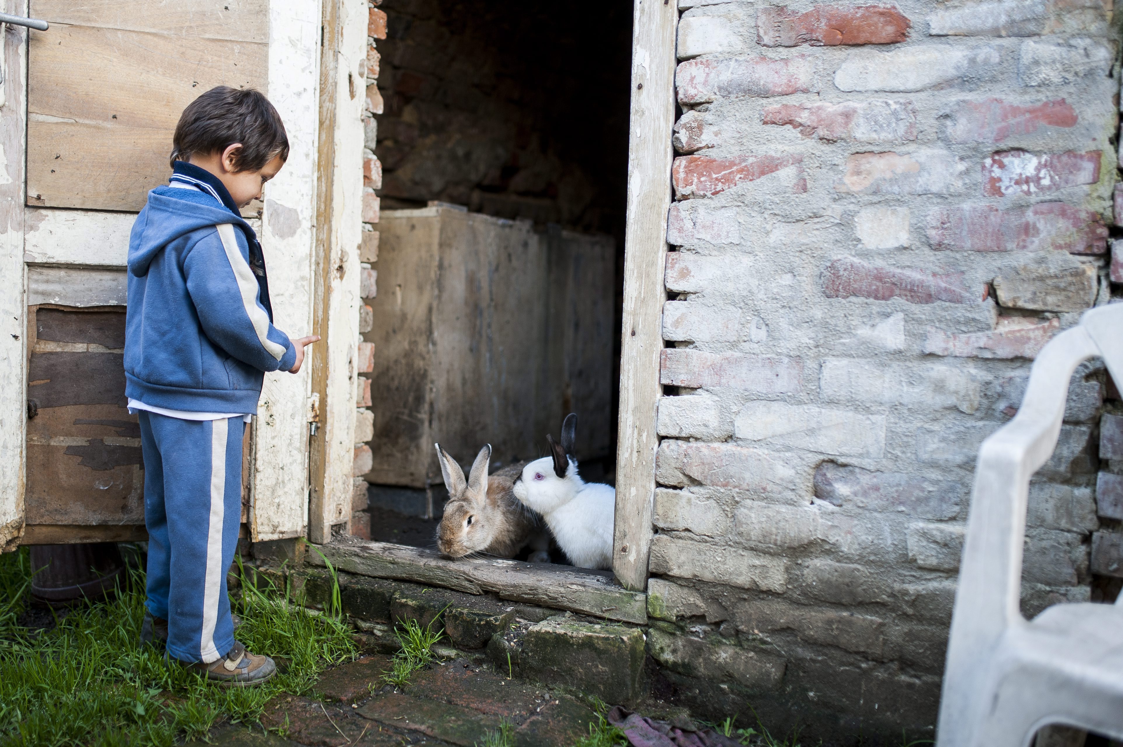 szegény gyermek (szegénység)