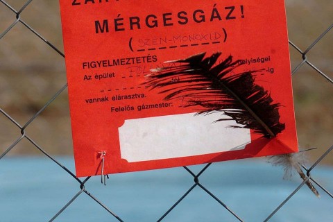 szén-monoxid (szén-monoxid)